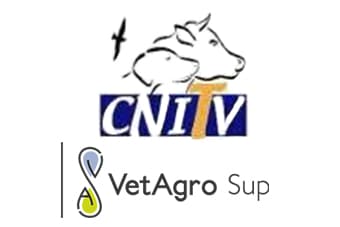 logo CNITV